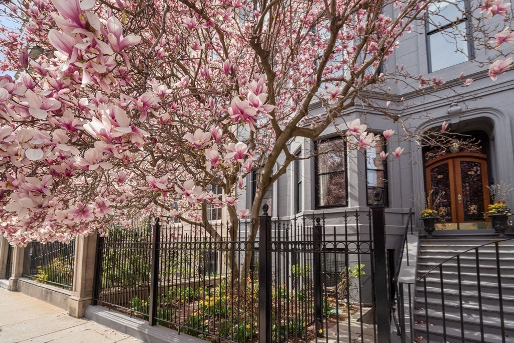 168 Beacon Street, Unit 1 Boston, MA 02116 - Photo 23 of 37