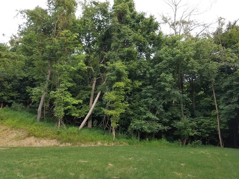 4643 Bolton Road North Huntingdon, PA 15642 - Photo 15 of 24 Gallery Image 15