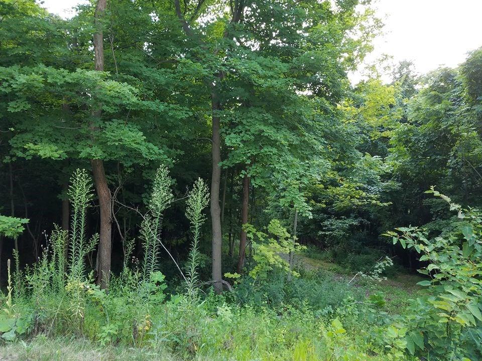 4643 Bolton Road North Huntingdon, PA 15642 - Photo 23 of 24 Gallery Image 23