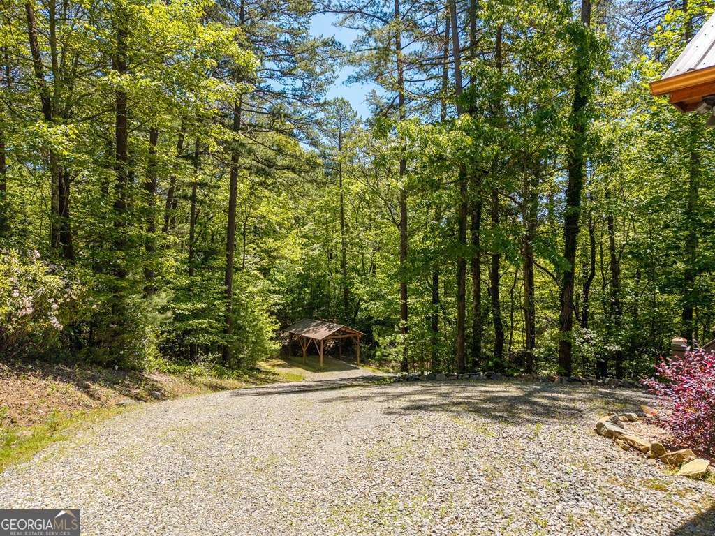 259 The Woods Road, Unit 33 Mineral Bluff, GA 30559 - Photo 49 of 54