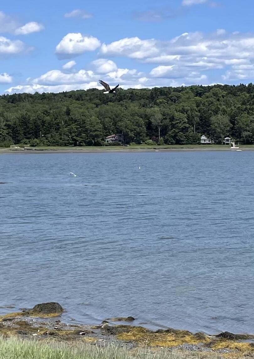 189 Basin Point Road Harpswell, ME 04079 - Photo 11 of 88 IMG_7199