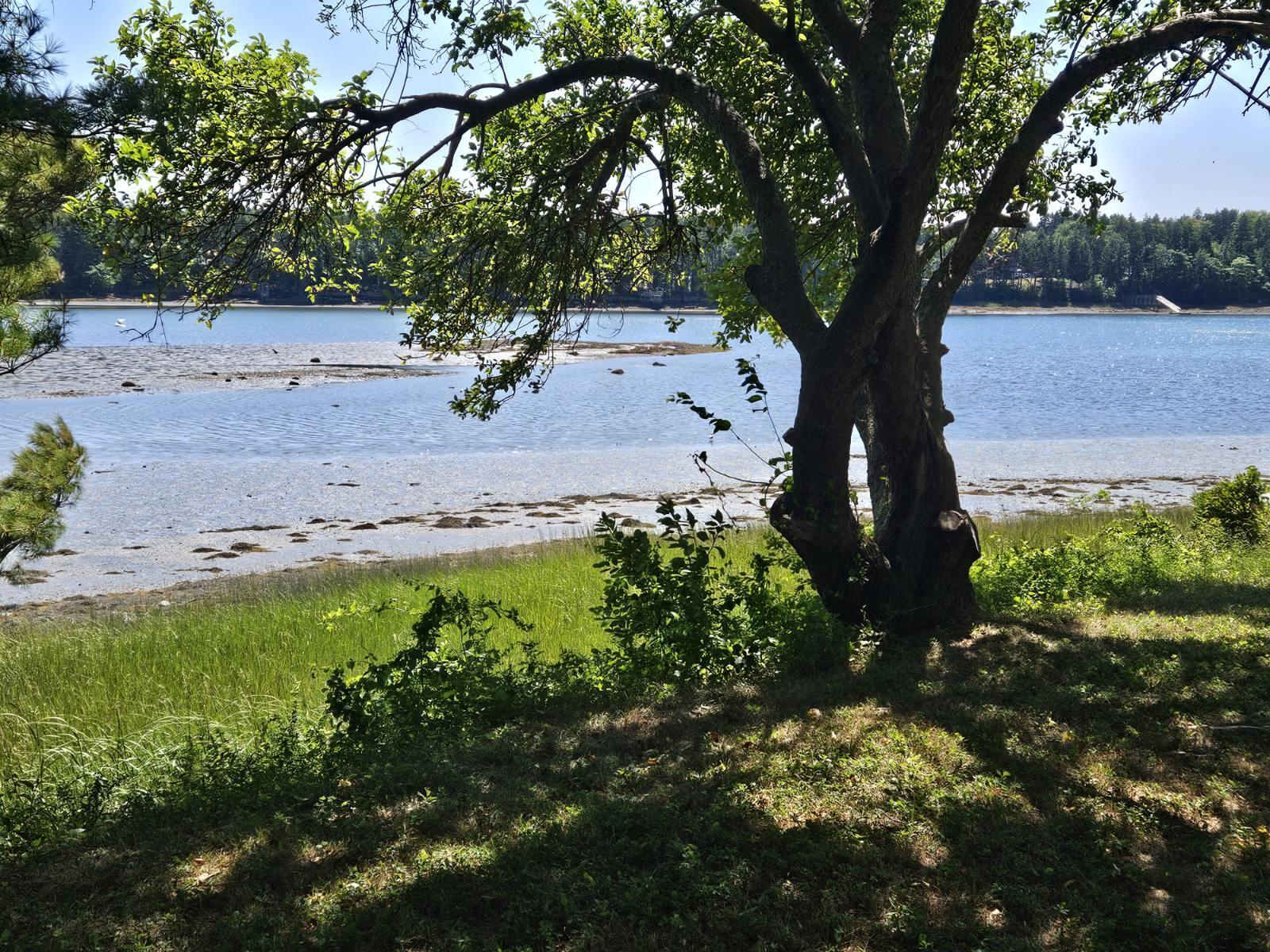 189 Basin Point Road Harpswell, ME 04079 - Photo 67 of 88 -8727475118575815359