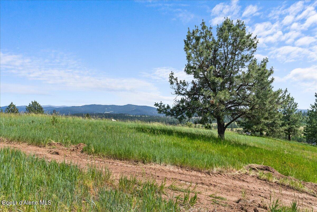 Nka West Bellgrove Road Coeur D'Alene, ID 83814 - Photo 15 of 21 22-Property views