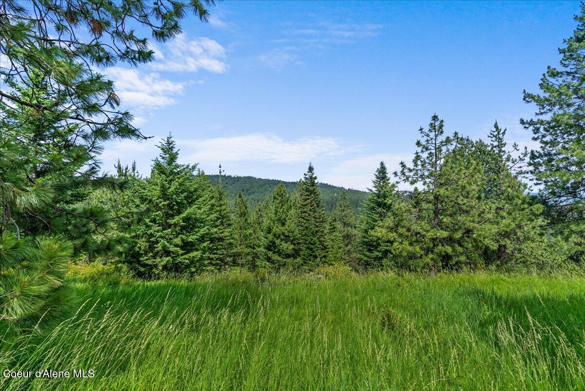 Nka West Bellgrove Road Coeur D'Alene, ID 83814 - Photo 5 of 21 15-Property