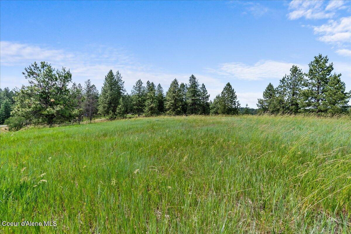 Nka West Bellgrove Road Coeur D'Alene, ID 83814 - Photo 8 of 21 19-Property views