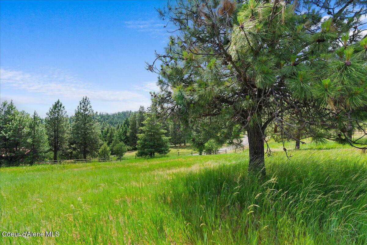 Nka West Bellgrove Road Coeur D'Alene, ID 83814 - Photo 9 of 21 20-Property views