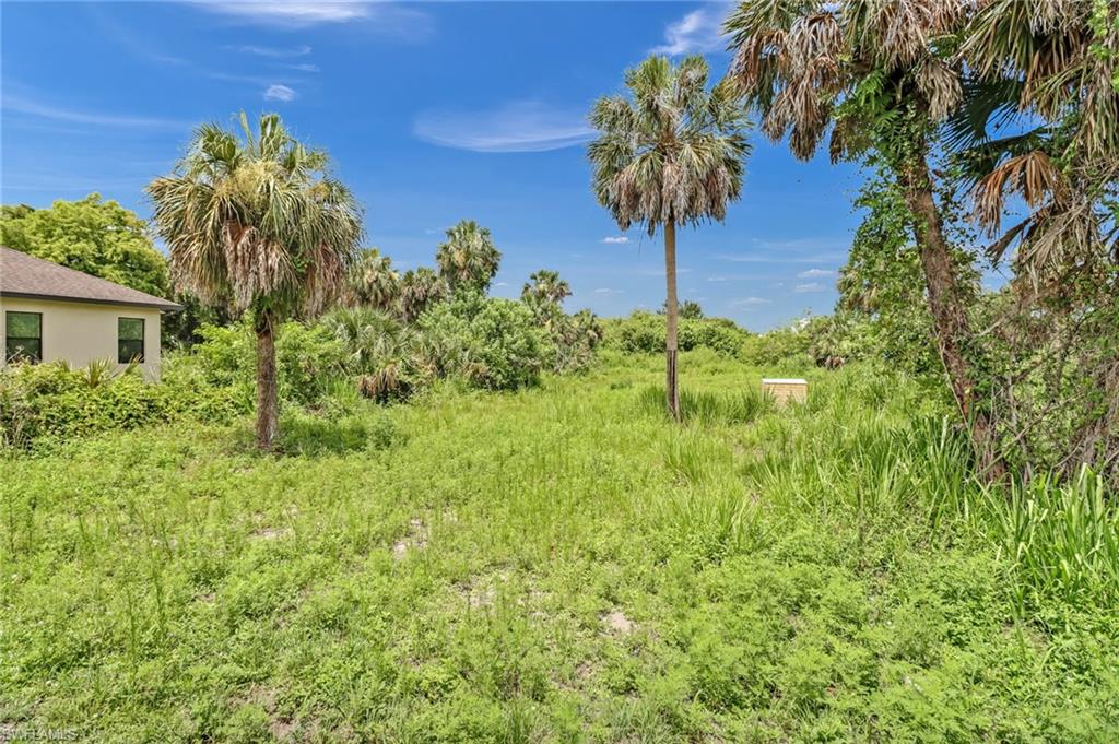 981 11th Street Southwest Naples, FL 34117 - Photo 24 of 24 View of local wilderness