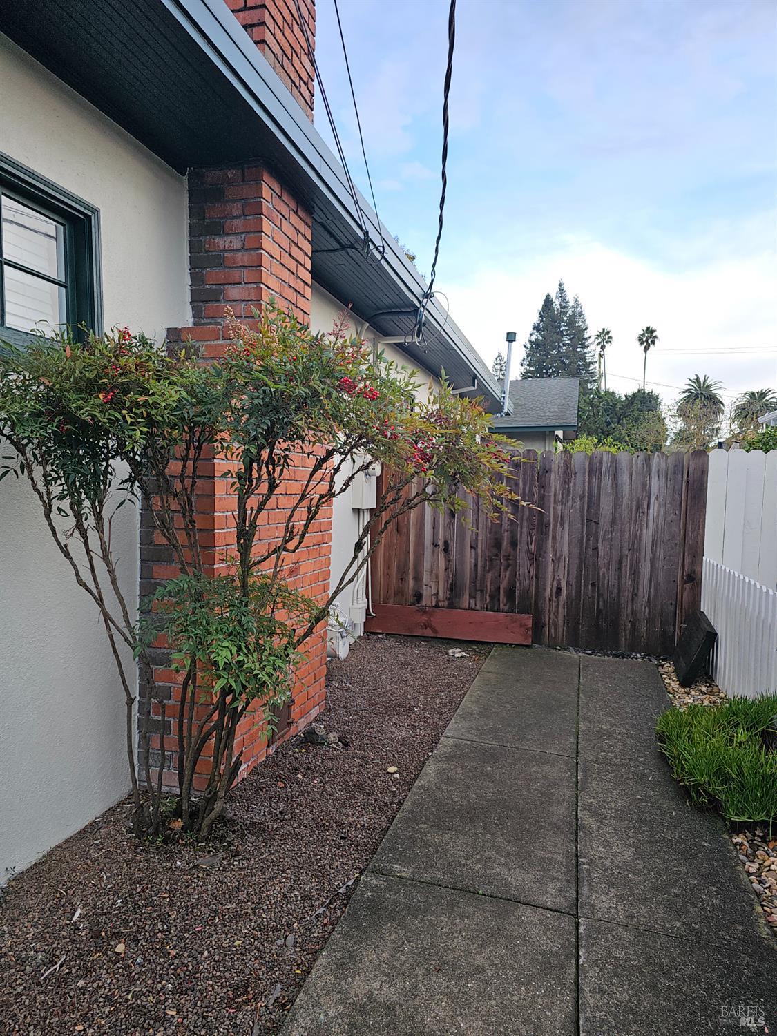 412 Lincoln Street Santa Rosa, CA 95401 - Photo 26 of 35 a view of a backyard with plants and large tree