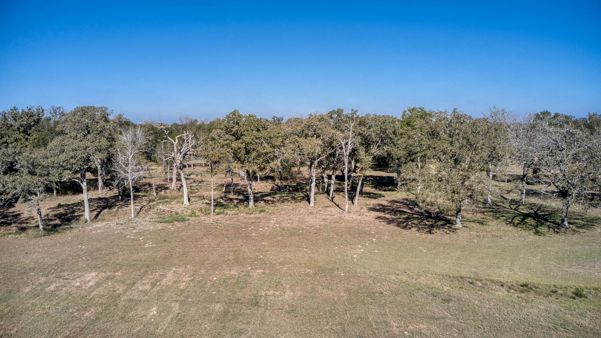 40934 Thomas Lane Hempstead, TX 77445 - Photo 42 of 50