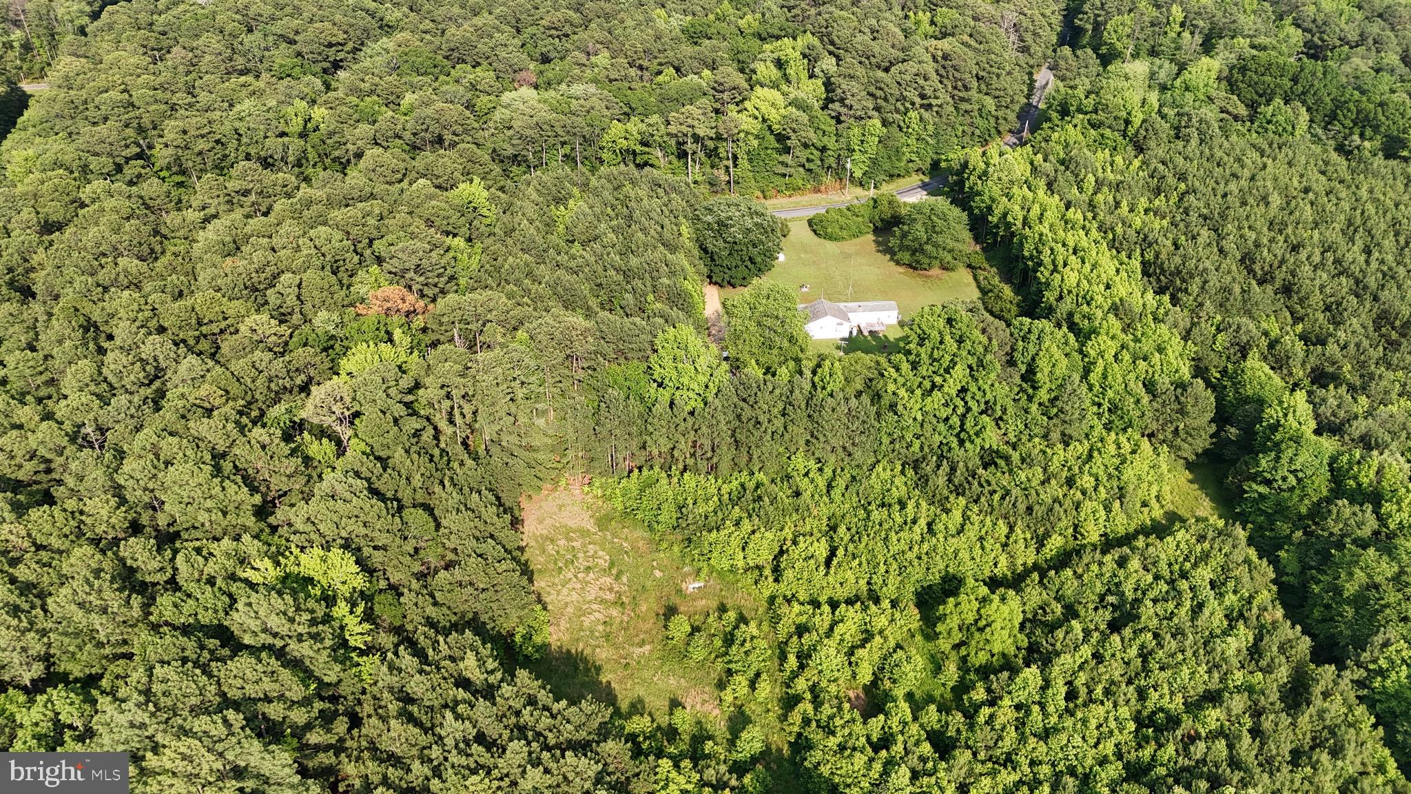 21047 Abell Road Avenue, MD 20609 - Photo 11 of 13 a close up of a plant