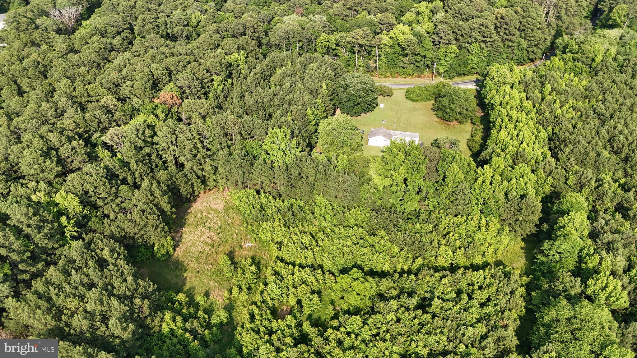 21047 Abell Road Avenue, MD 20609 - Photo 12 of 13 a close up of a plant
