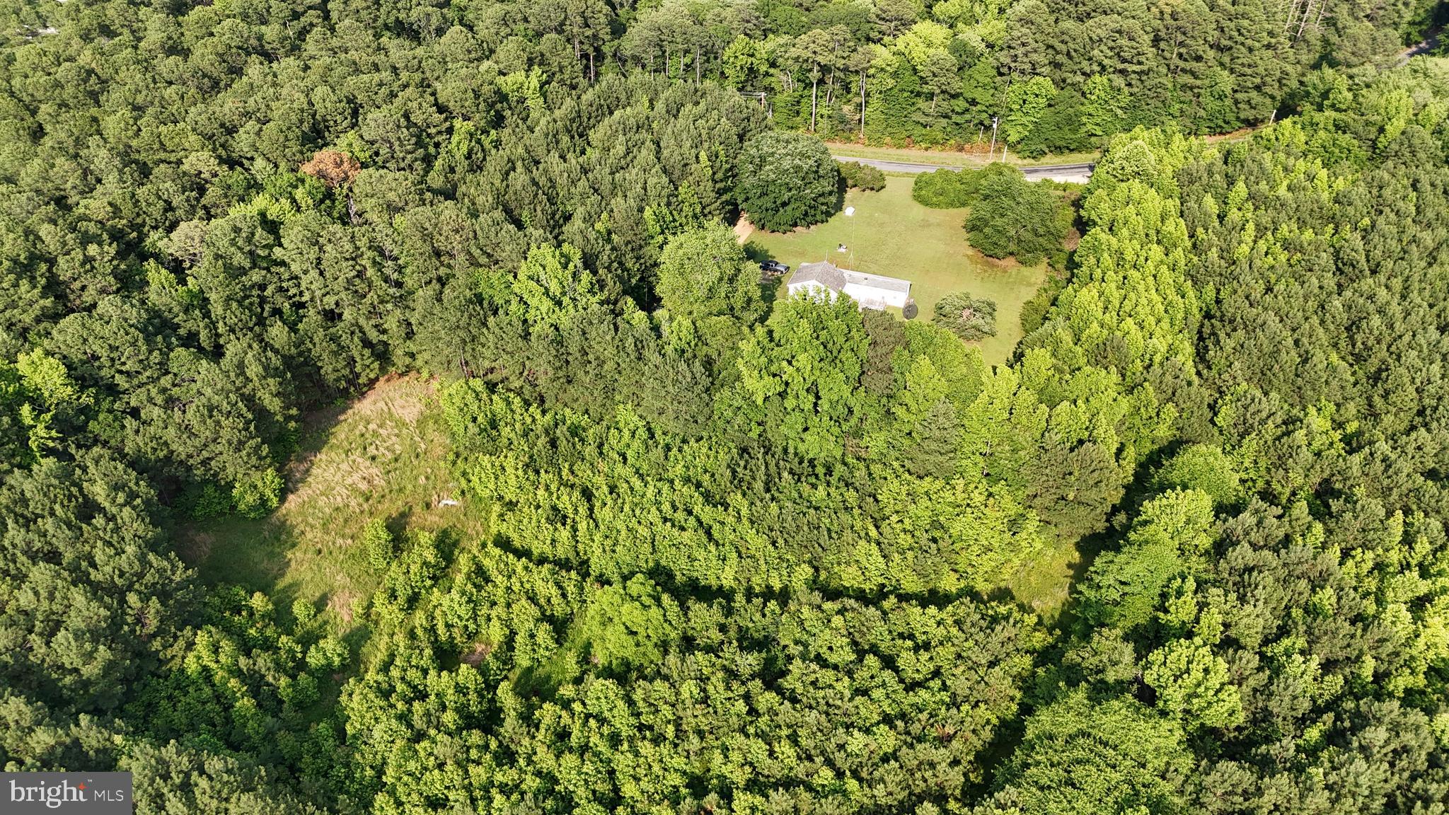 21047 Abell Road Avenue, MD 20609 - Photo 13 of 13 a close up of a plant in a garden