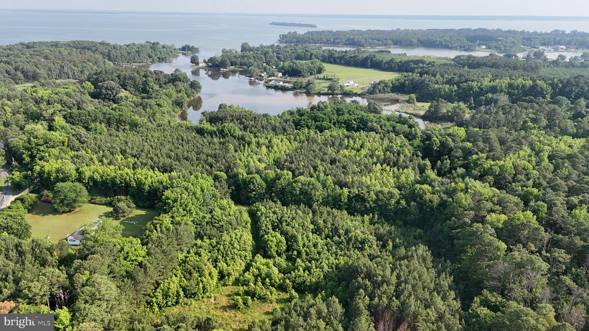 21047 Abell Road Avenue, MD 20609 - Photo 3 of 13 an aerial view of residential house with outdoor space and trees all around