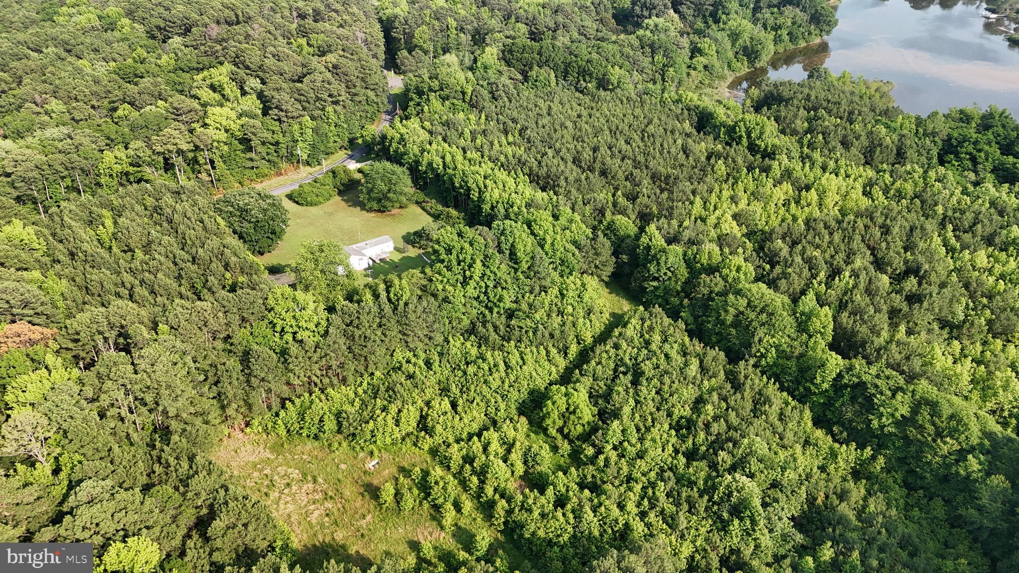 21047 Abell Road Avenue, MD 20609 - Photo 5 of 13 a view of a forest with a tree