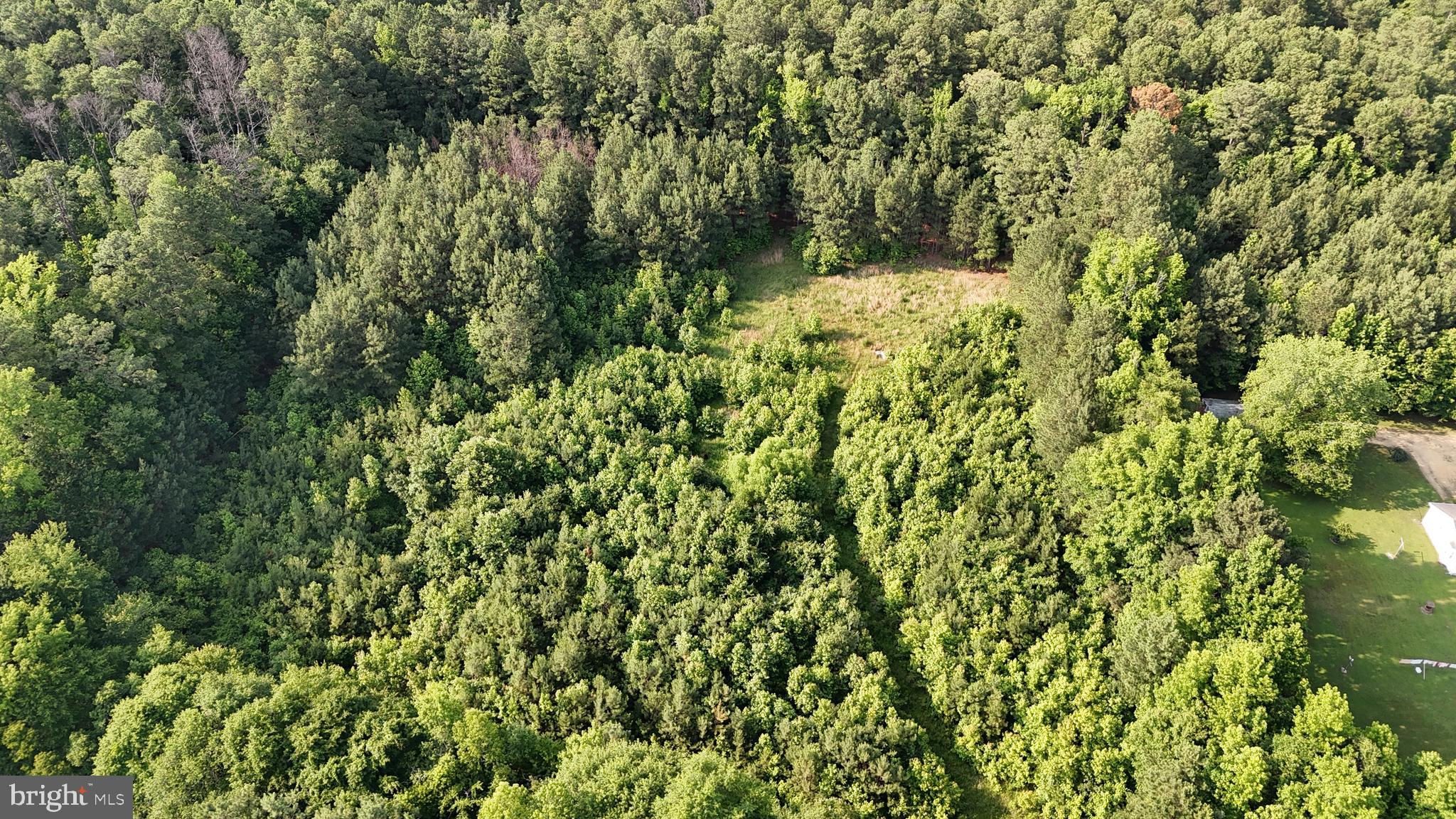 21047 Abell Road Avenue, MD 20609 - Photo 6 of 13 a view of a yard