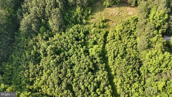 a view of a lush green field