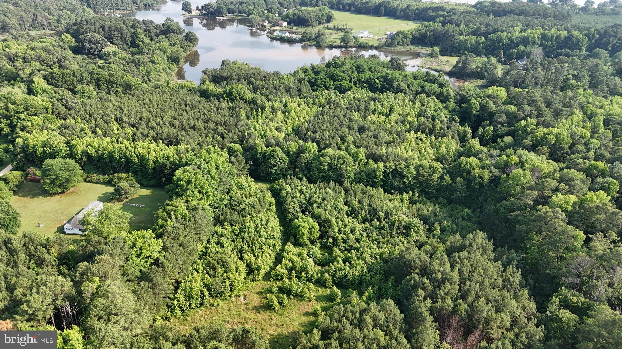 21047 Abell Road Avenue, MD 20609 - Photo 10 of 13 an aerial view of residential house with outdoor space and trees all around