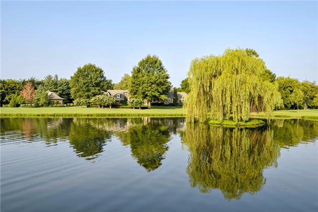 a view of a lake with a building in the background
