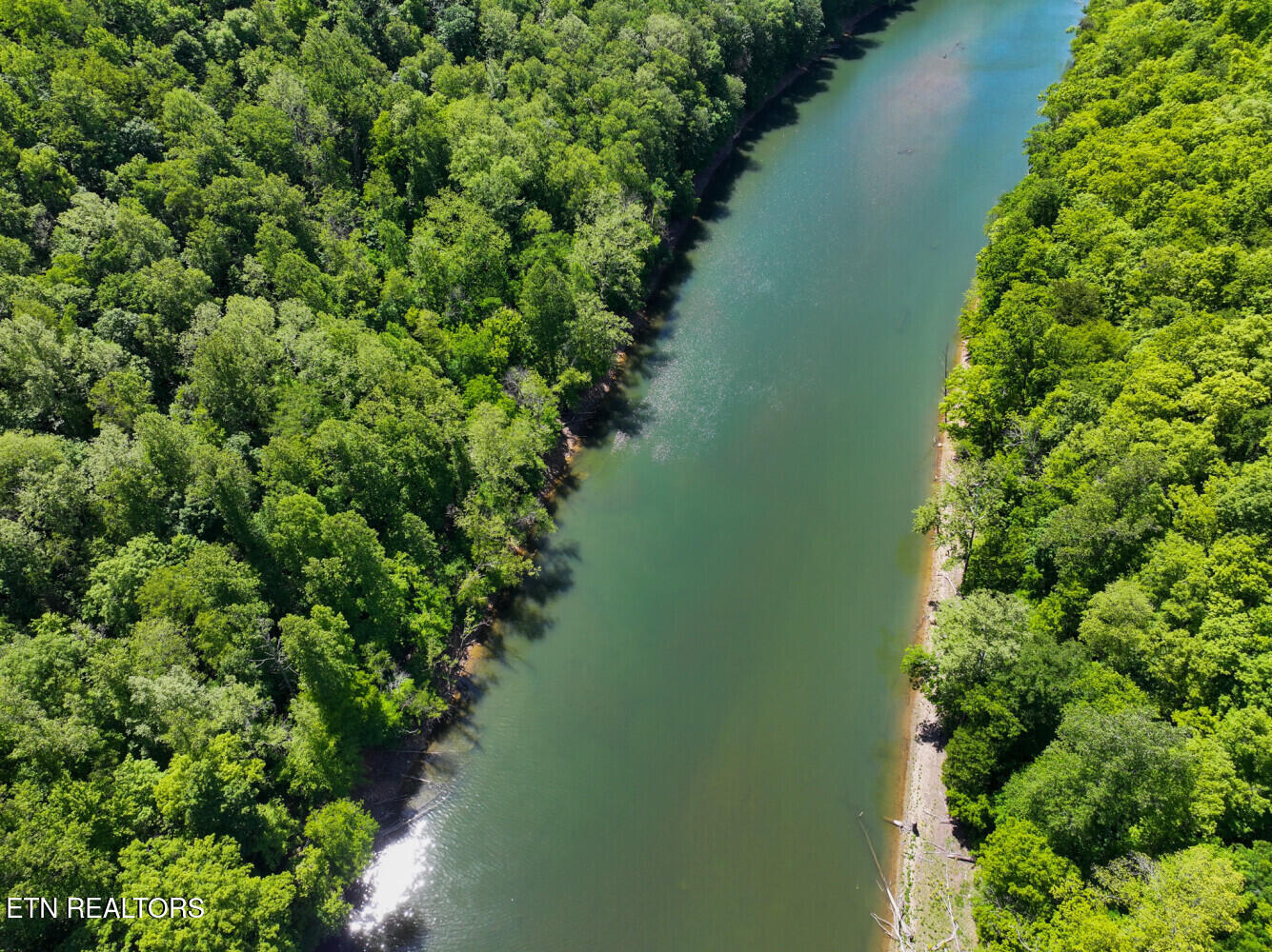 Lot 121 Towncreek Road Speedwell, TN 37870 - Photo 6 of 32 6a2dd1c253153