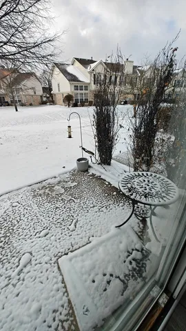 $2,550 | 1644 Orchard Avenue, Unit 1644, Schaumburg, IL 60193