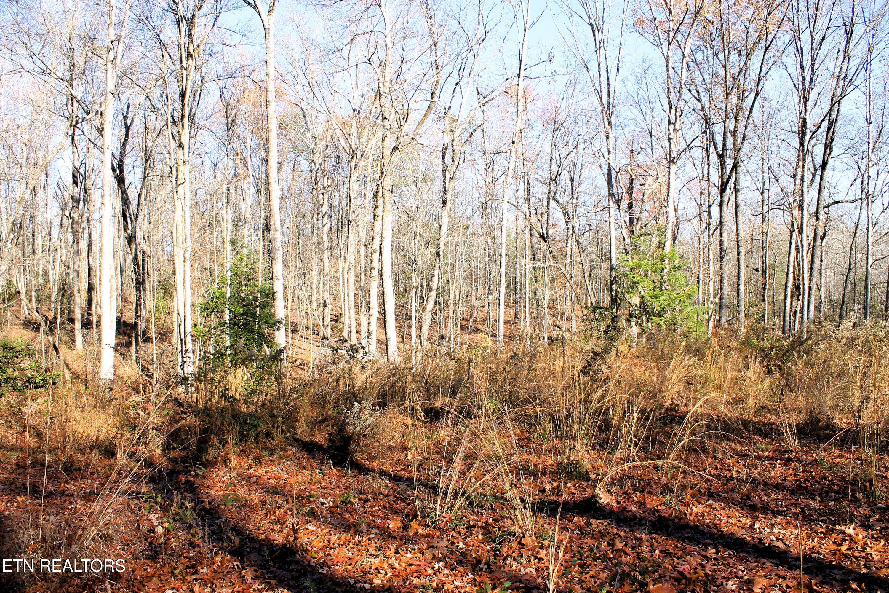 Sam Beaty Road Jamestown, TN 38556 - Photo 23 of 29 IMG_7305