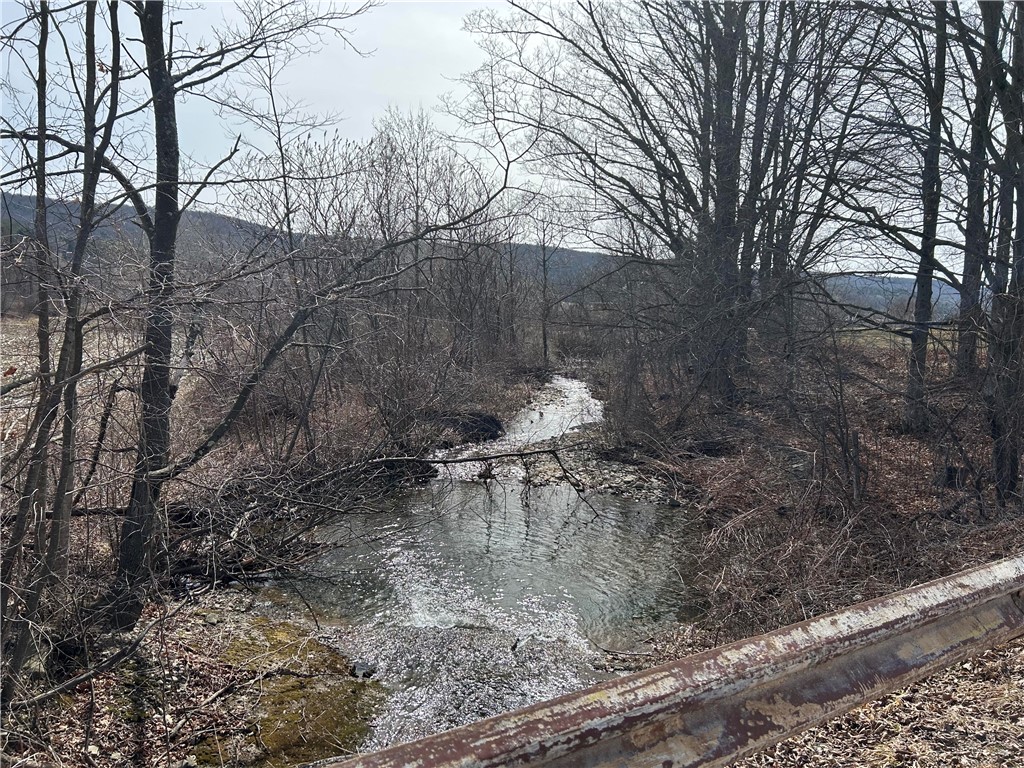 Butts Road Bainbridge, NY 13733 - Photo 2 of 4