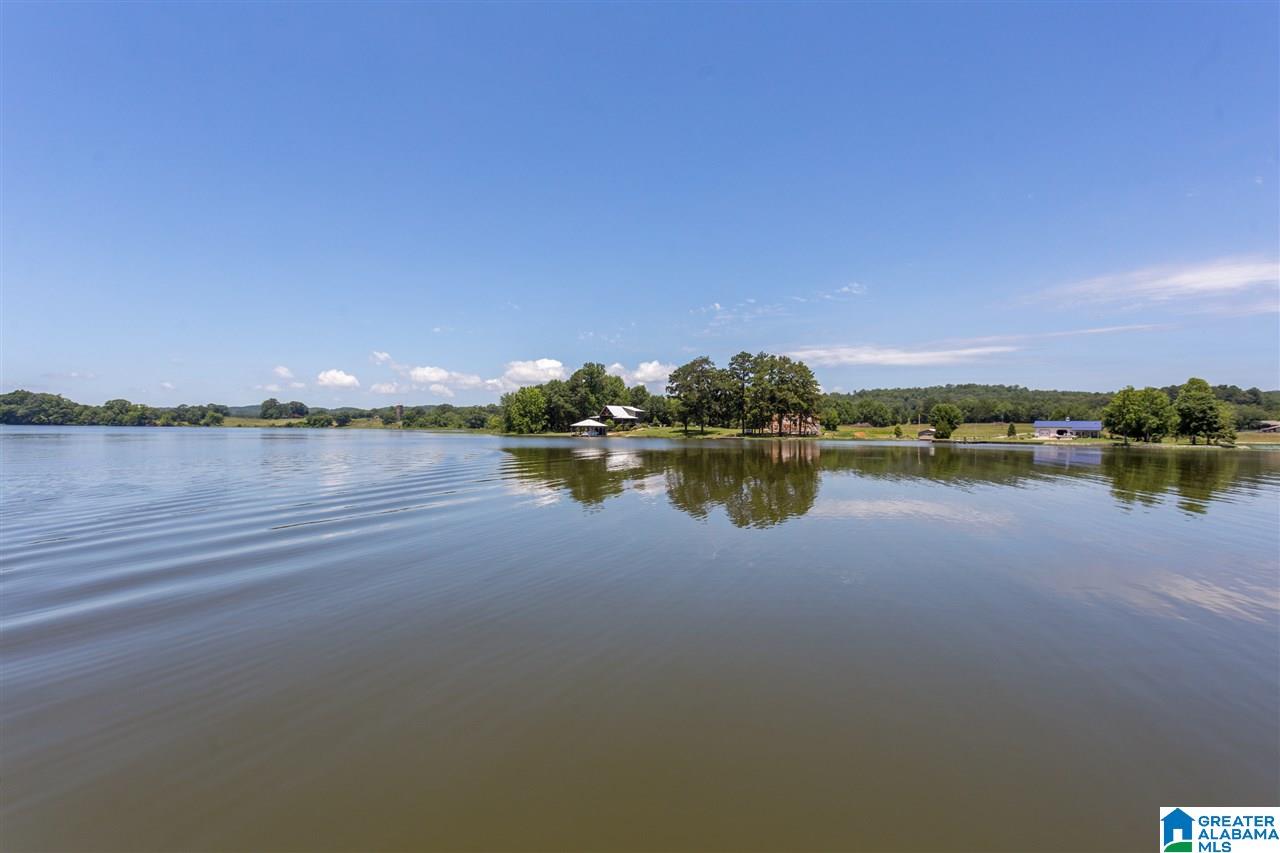 10350 Greensport Road Ashville, AL 35953 - Photo 44 of 50