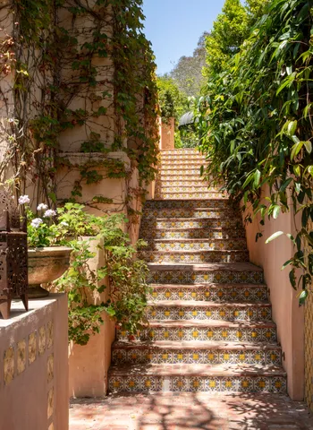a view of park with large trees