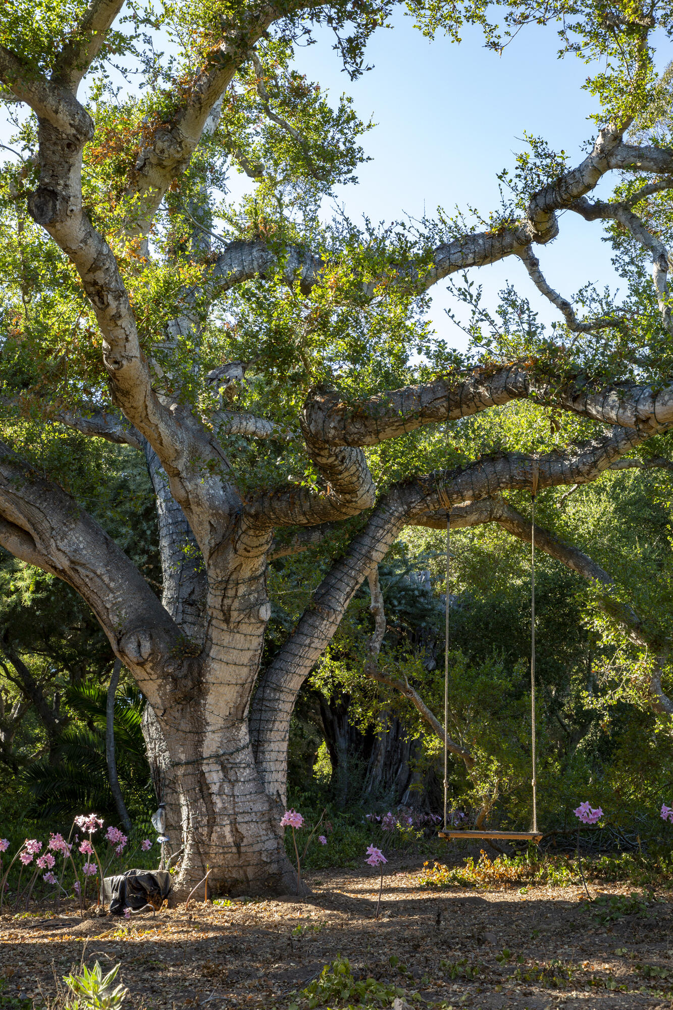 670 Hot Springs Road Montecito, CA 93108 - Photo 17 of 23