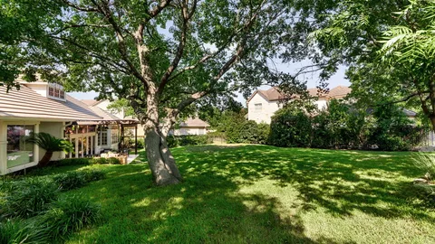 a view of a porch with a potted plant