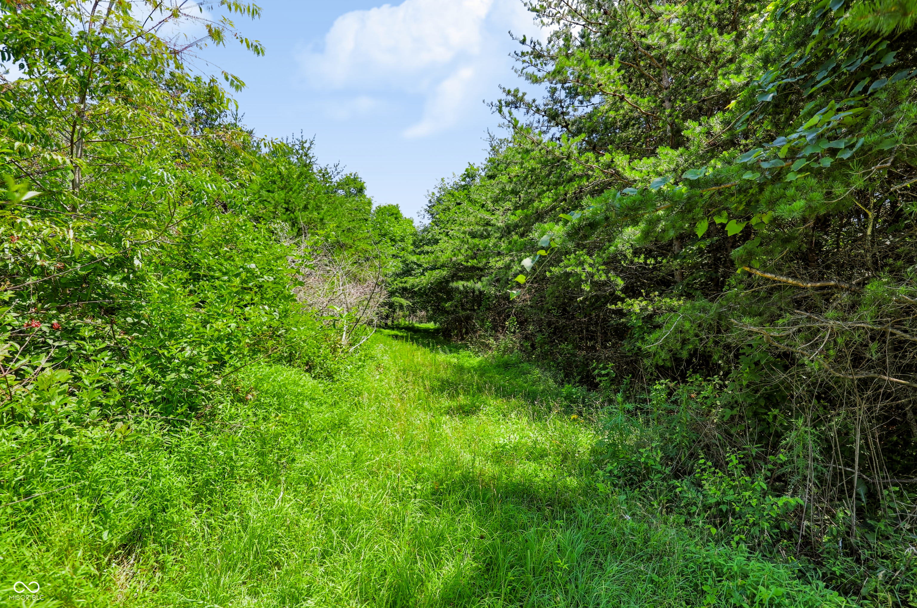 6400 Ruble Road Poland, IN 47868 - Photo 123 of 163