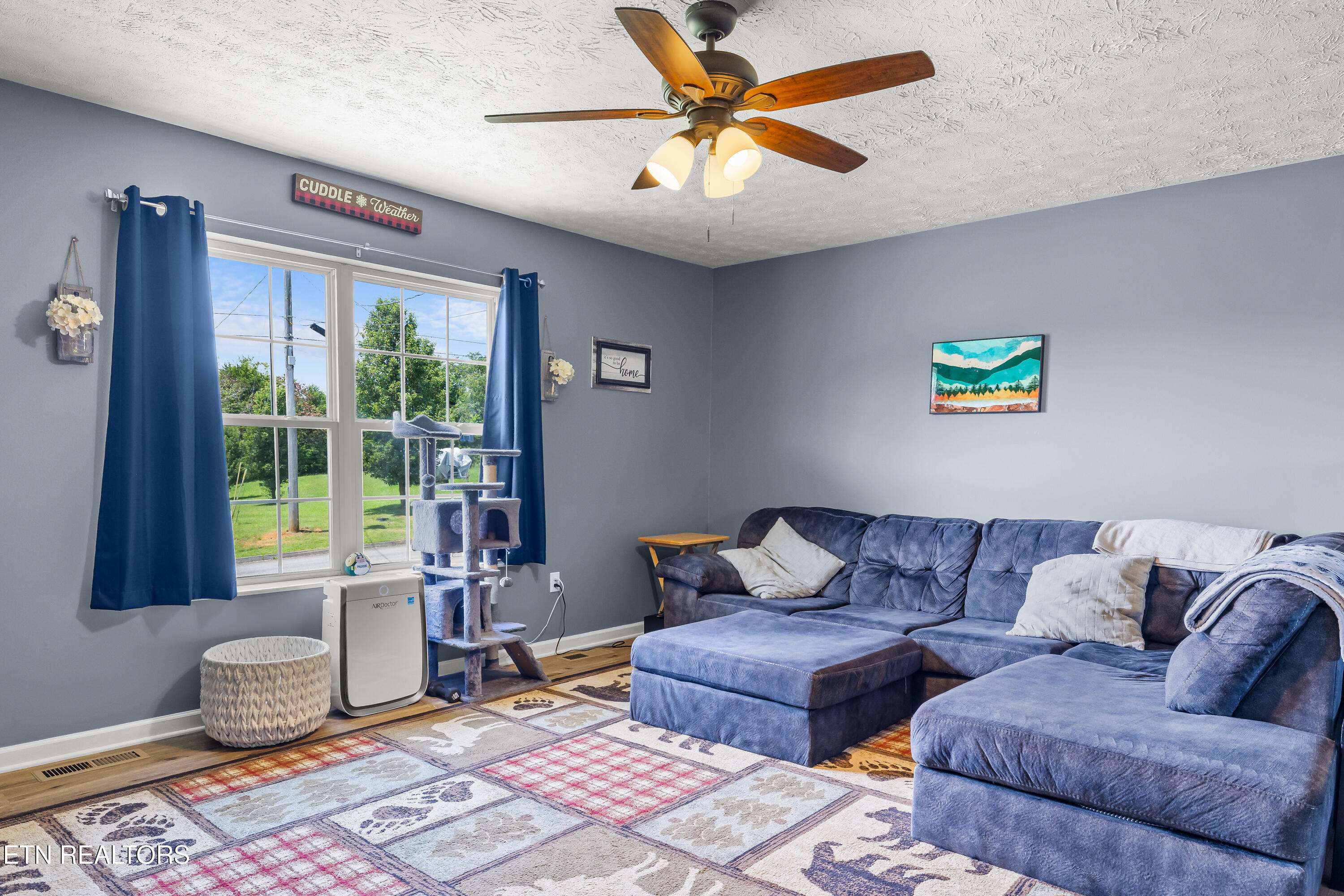 157 Ridgefield Drive Dandridge, TN 37725 - Photo 11 of 54 157RidgefieldDr-1