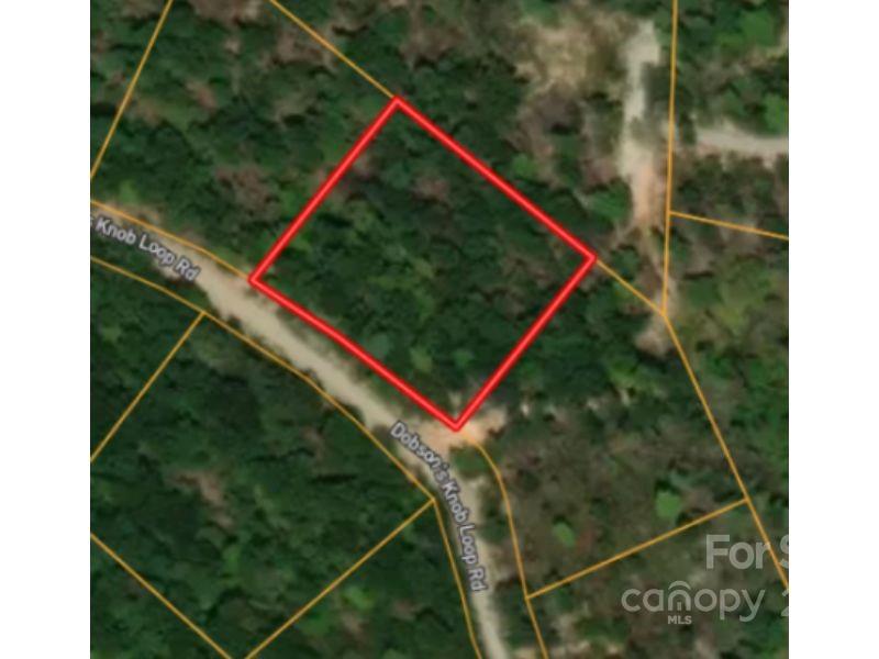 0 Dobsons Knob Loop Road Marion, NC 28752 - Photo 1 of 3 Gallery Image 1