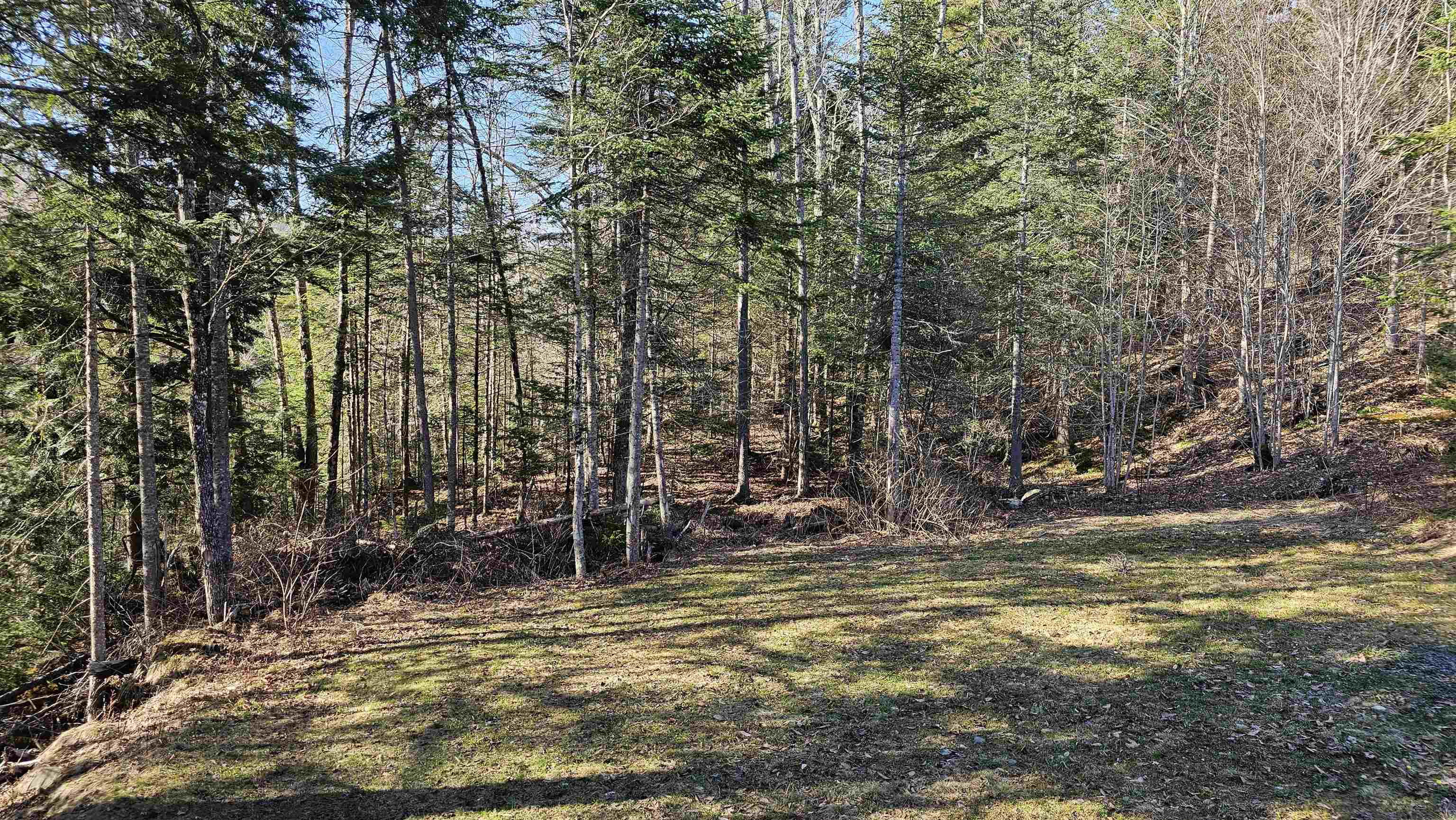 512 Woodbury Mountain Road Calais, VT 05648 - Photo 47 of 59