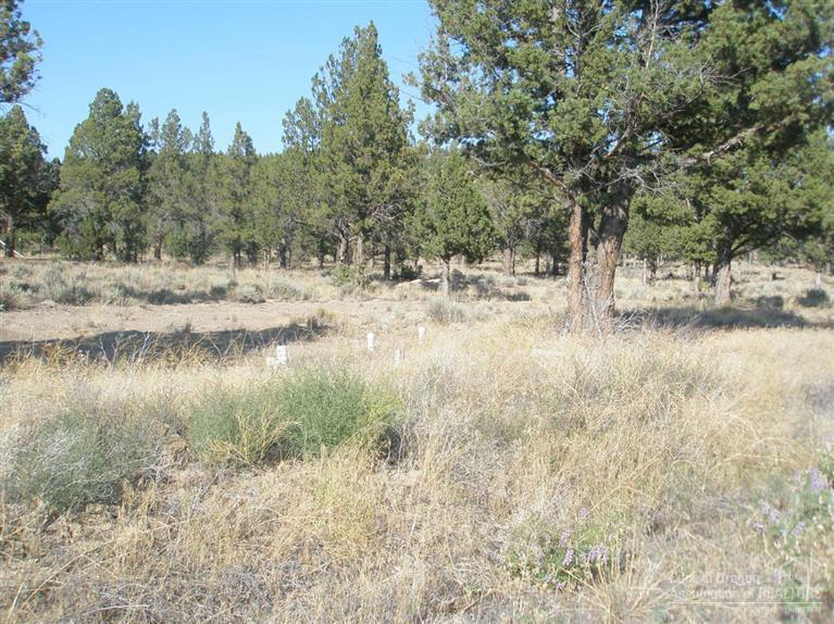 12787 Southeast Bridge Road Prineville, OR 97754 - Photo 12 of 16 Additional Photo