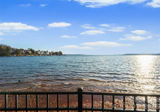 a view of a yard with trees