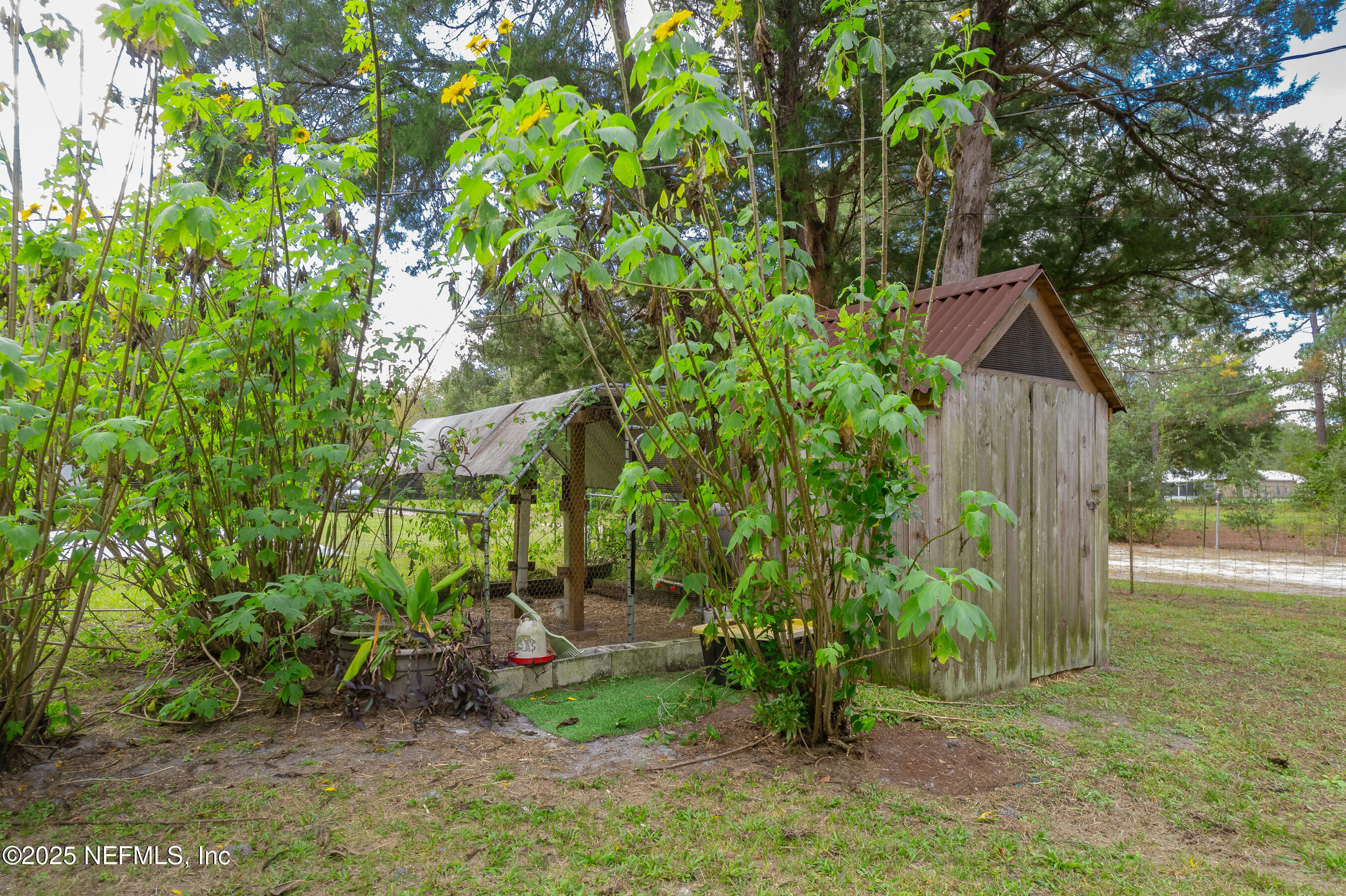 229 Davis Lake Road Palatka, FL 32177 - Photo 54 of 73 a backyard of a house with lots of green space
