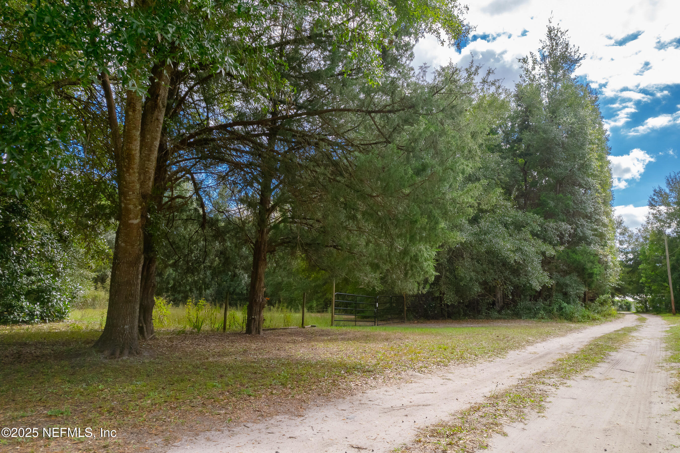 229 Davis Lake Road Palatka, FL 32177 - Photo 70 of 73 a view of a yard with a tree