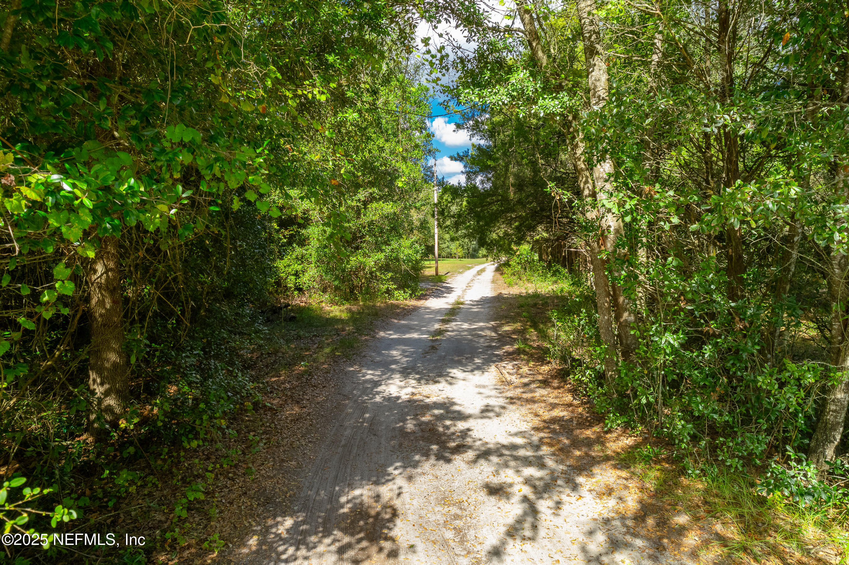229 Davis Lake Road Palatka, FL 32177 - Photo 71 of 73 a view of a street with a trees