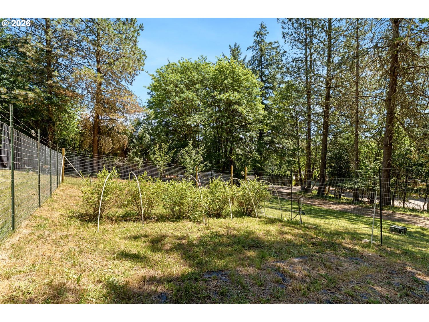 55279 Southwest Date Street Gaston, OR 97119 - Photo 45 of 45 a backyard of a house with a yard and outdoor seating