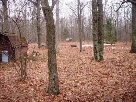 North Harris Road Montague, MI 49437 - Photo 1 of 5 Primary Photo