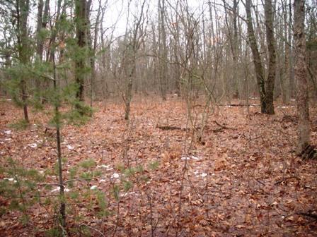 North Harris Road Montague, MI 49437 - Photo 3 of 5 Additional Photo