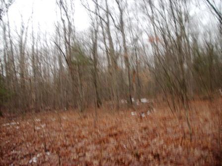 North Harris Road Montague, MI 49437 - Photo 4 of 5 Additional Photo