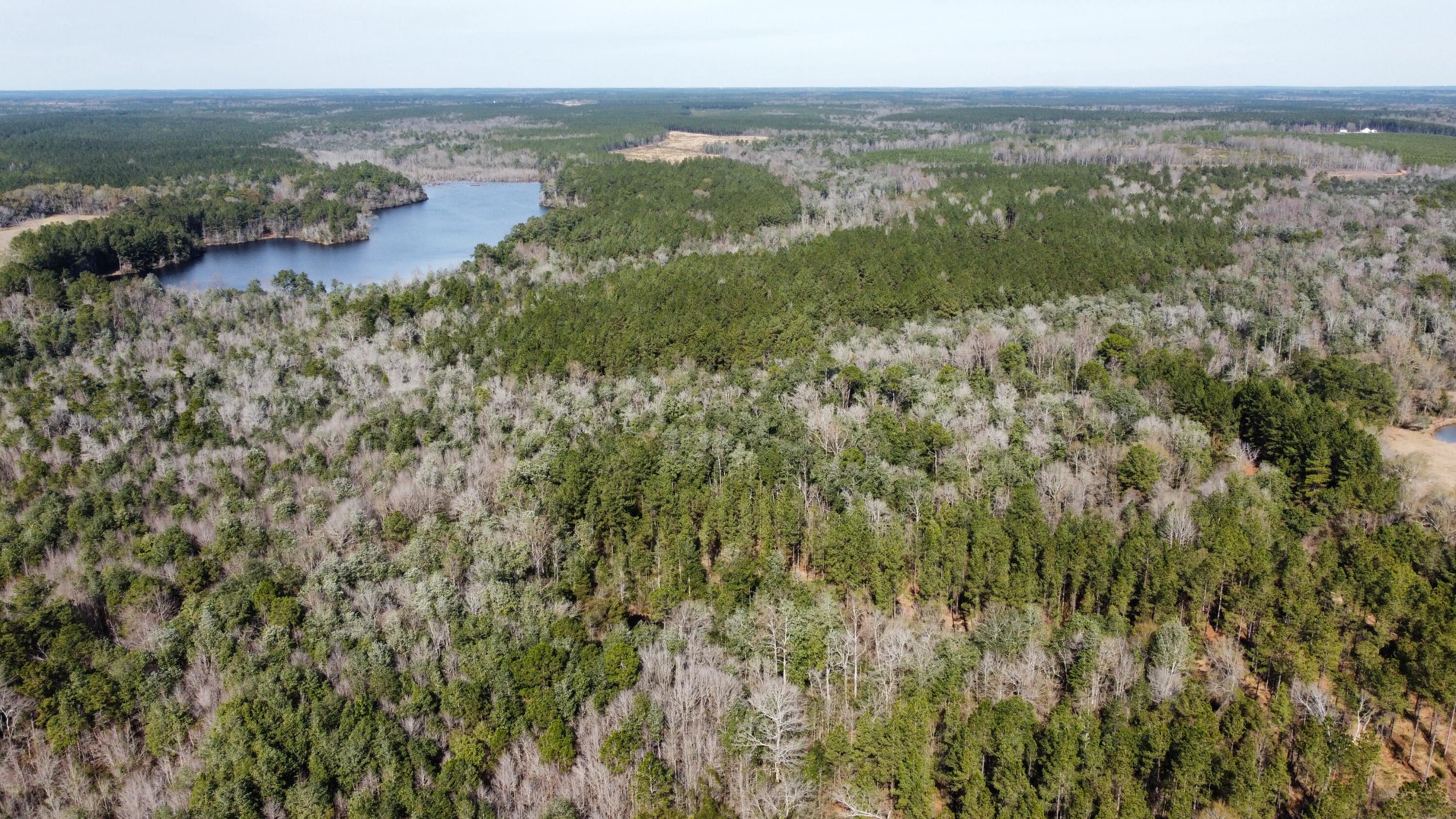 0 Gunther Road Lumberton, MS 39455 - Photo 1 of 1 dji_fly_20250117_115624_813_173739310736