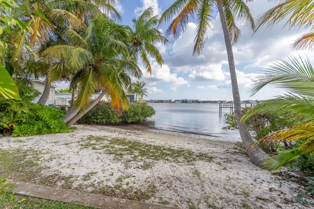 a view of a yard with a plants