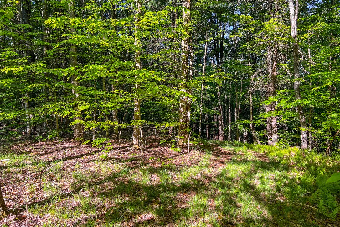 19-22 25 Frank Slawson Road Oneonta, NY 13820 - Photo 29 of 30