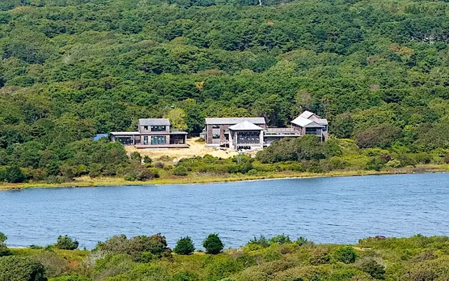 a view of a house with a yard and plants