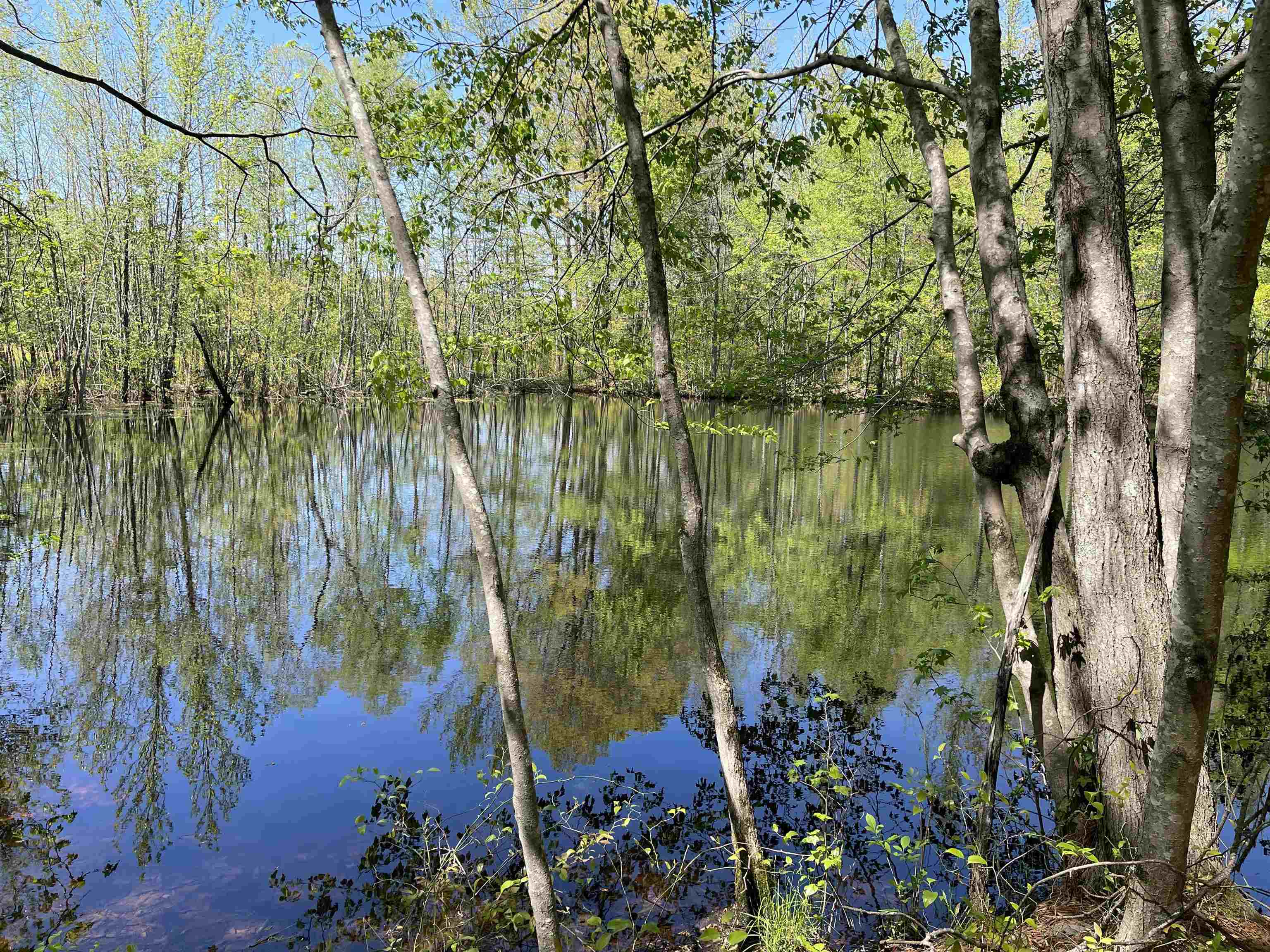 1 Woods Road Adamsville, TN 38310 - Photo 13 of 24 a view of lake
