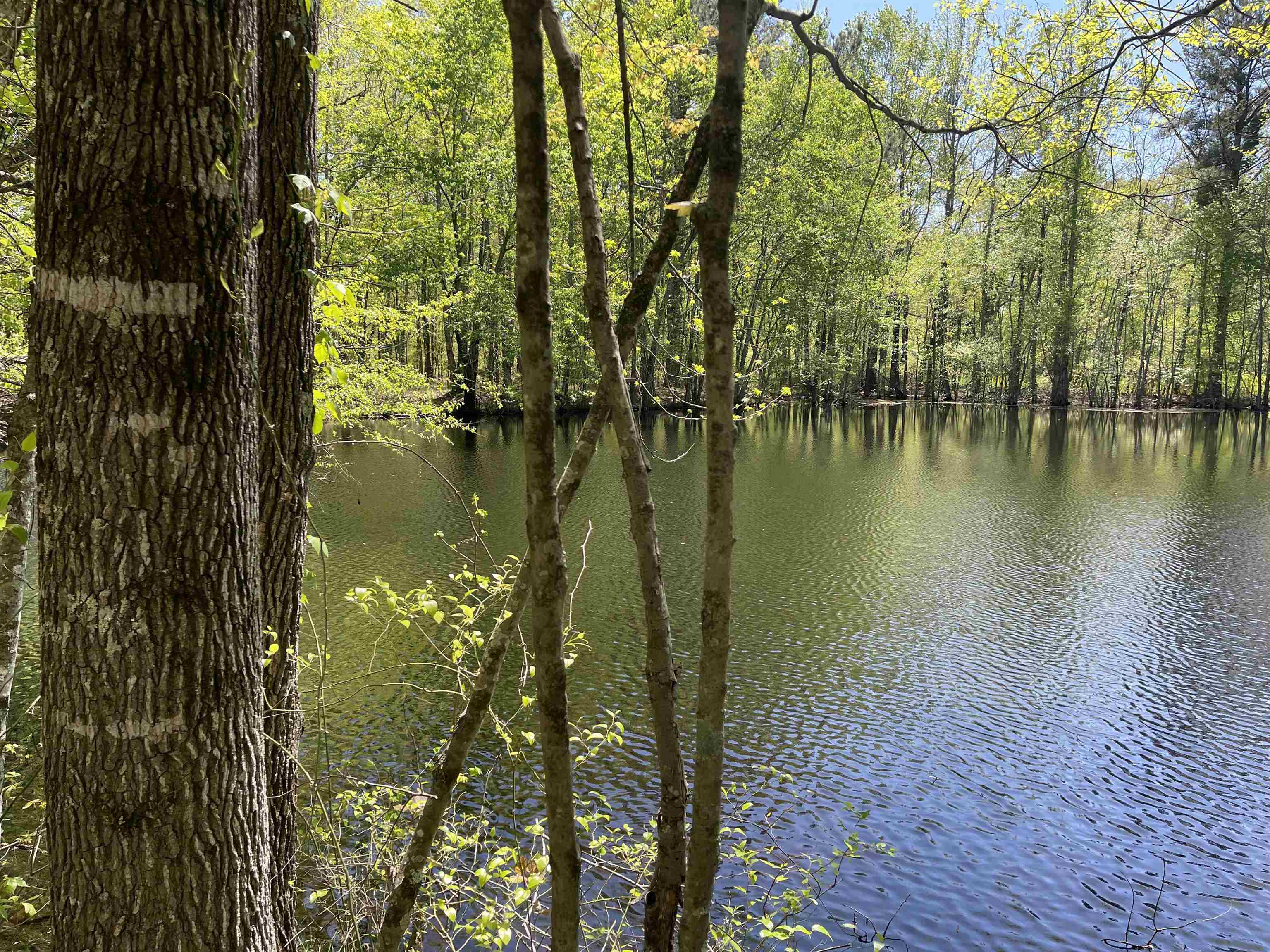 1 Woods Road Adamsville, TN 38310 - Photo 14 of 24