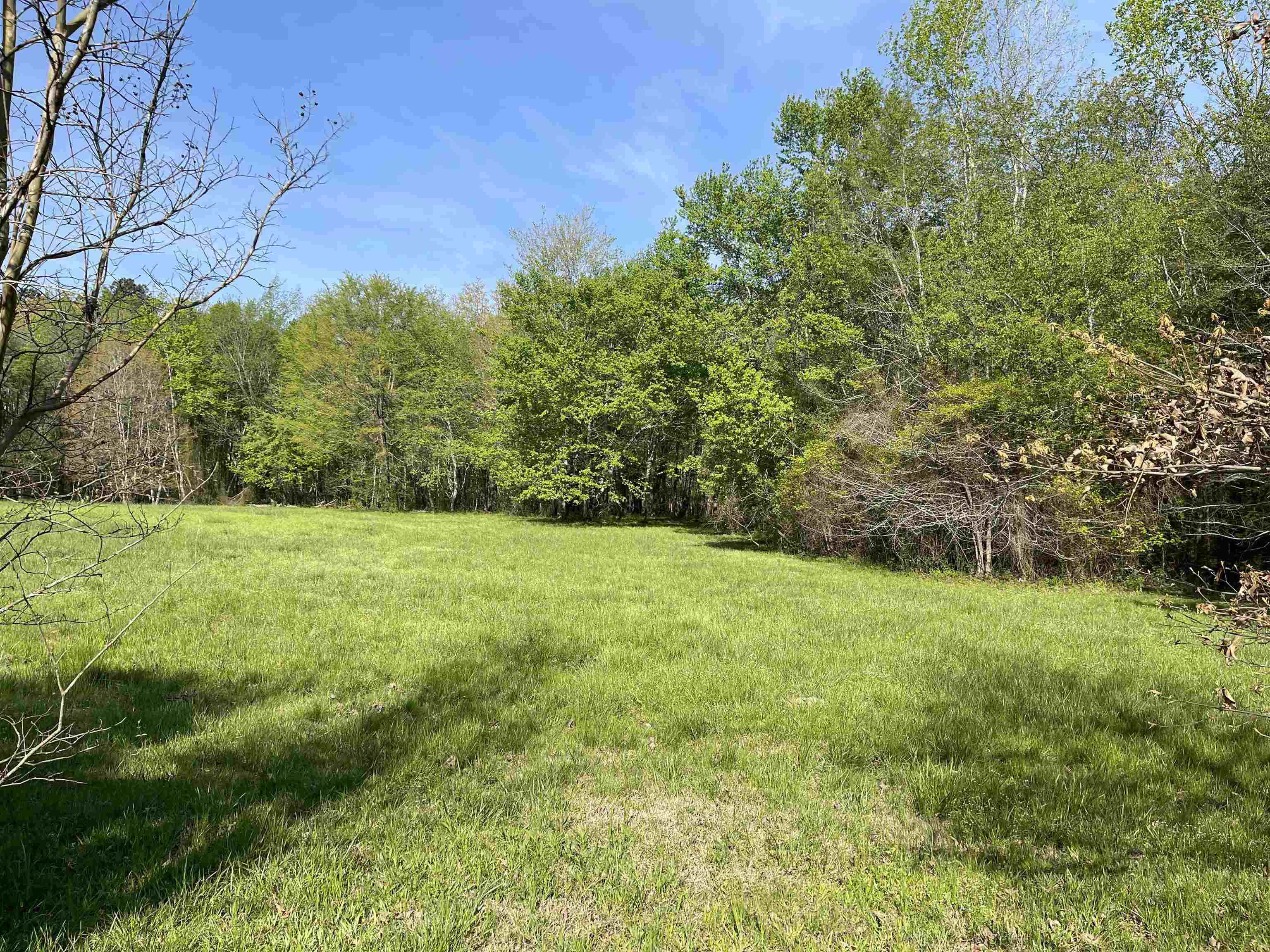 1 Woods Road Adamsville, TN 38310 - Photo 17 of 24 a view of outdoor space and yard
